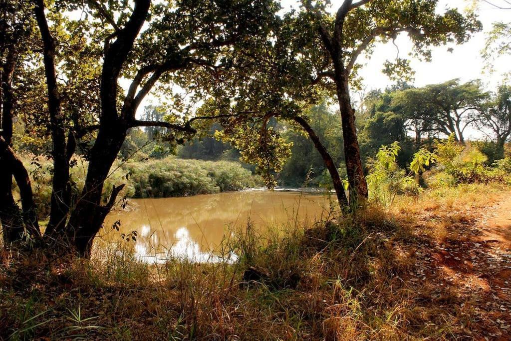 טזאנין Boschoek Farm מראה חיצוני תמונה