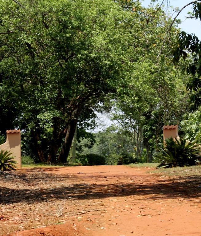 טזאנין Boschoek Farm מראה חיצוני תמונה